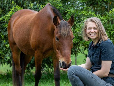 Equine Training